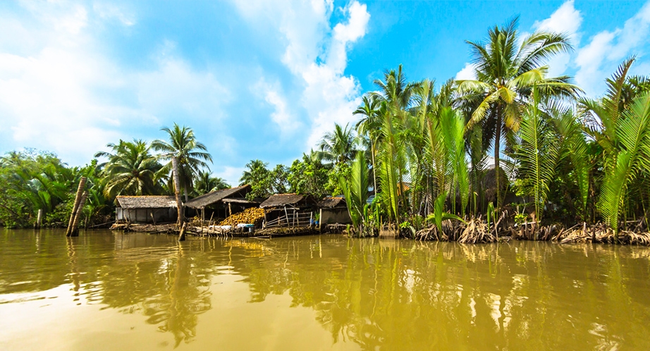 Day 9: Ben Tre - Ho Chi Minh City (Breakfast, Lunch)